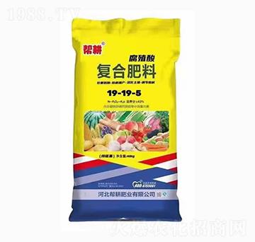 復合肥料19-19-5-幫耕肥業(yè)