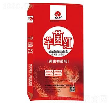 微生物菌劑-芊菌紅-雁來(lái)紅