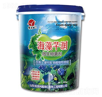 微生物菌劑-海藻芊潤-雁來紅