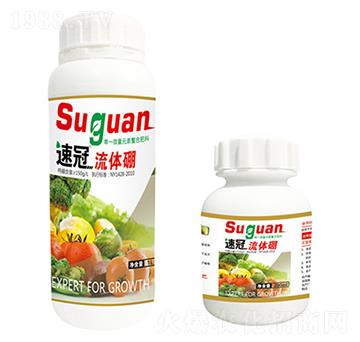 �ٹ����w��-�r��