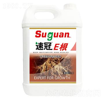 �ٹ�E��-�r��