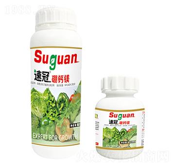 �ٹ����w���}�V-�r��