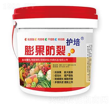 �o���������-�r��