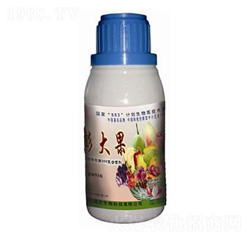 稀土膨大果-周天生物