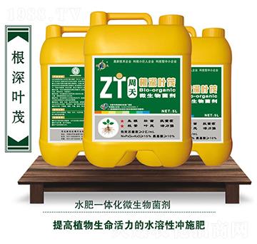 ΢�������-�����~ï-��������