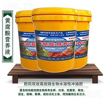 �S����I(y��ng)�B(y��ng)Һ-��������