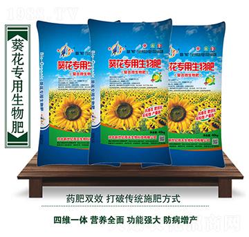 ������(zhu��n)�������-��������