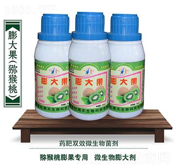 獼猴桃專用微生物菌劑-膨大果-周天生物