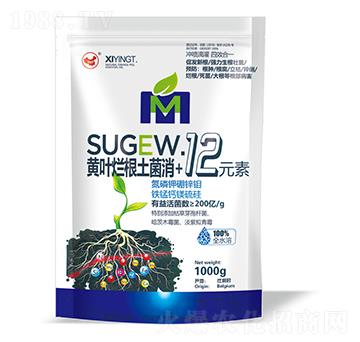 黃葉爛根土菌消+12元素-山東炬懷生物