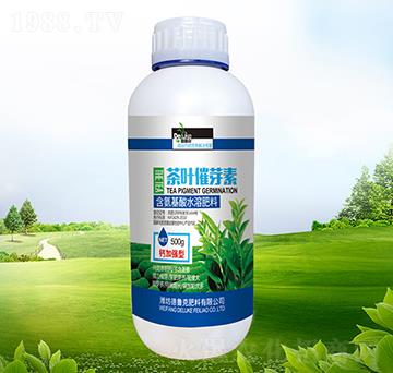 ���~��ѿ��-������