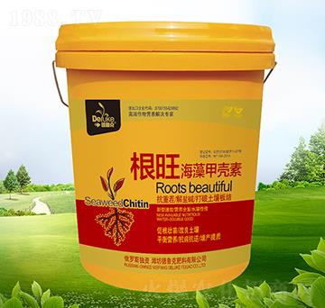 ����ך���-����-������