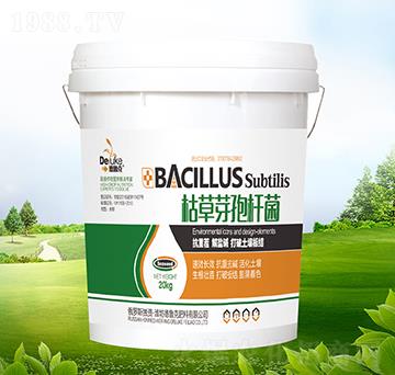 �ݲ�ѿ�ߗU��-������