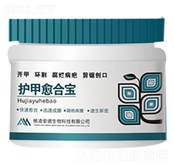 護甲愈合寶-安諾生物