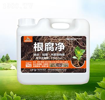 ������-������