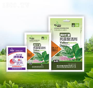 �S�~���������(f��)�+�T��(d��o)��-������