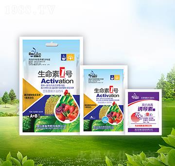 ������1̖+�T��(d��o)��-������