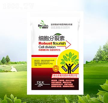 ��(x��)��������-������