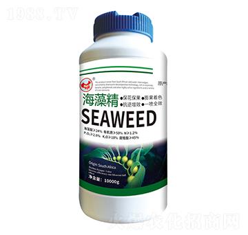 ���徫-ɽ�|�������