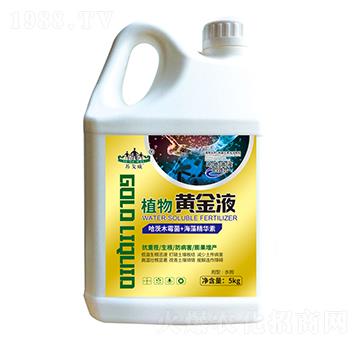 ֲ���S��Һ-ɽ�|�������