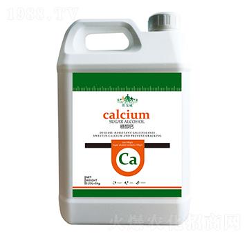 �Ǵ��}-ɽ�|�������