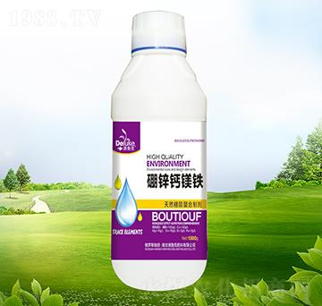 ���\�}�V�F-������