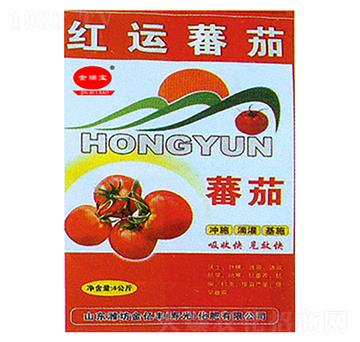 紅云番茄-金億豐