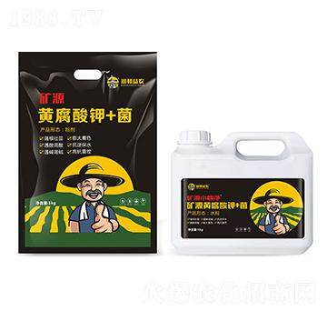 礦源黃腐酸鉀+菌-潤邦益農(nóng)