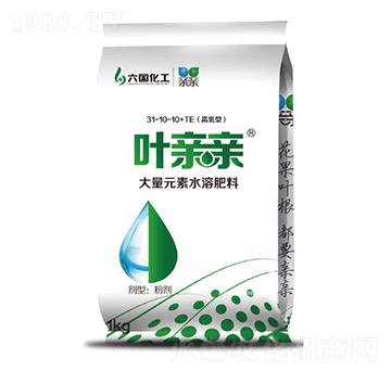 大量元素水溶肥料31-10-10+TE-葉親親-六國化工