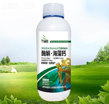 ø�⡤�����}-������