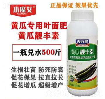 黃瓜專用葉面肥-黃瓜靚豐素-小魔女-天行健