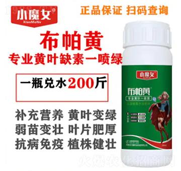 專業(yè)黃葉缺素一噴綠-布帕黃-小魔女-天行健