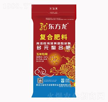 玉米專用多元螯合復合肥料24-8-10-東方龍