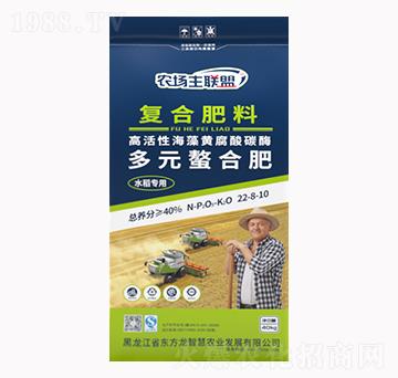 40kg水稻專用多元螯合復(fù)合肥料22-8-10-東方龍