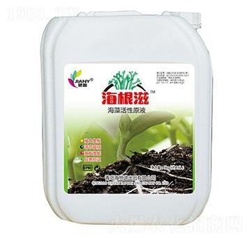 健盈·海根滋-海贊