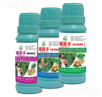 矮胖豐葉面肥-肥力灃