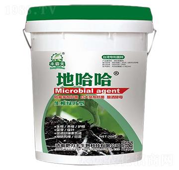 生根綠葉型微生物菌劑-地哈哈-肥力豐