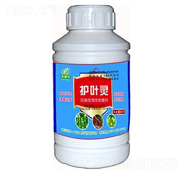抗病型微生物菌劑-護(hù)葉靈-肥力灃