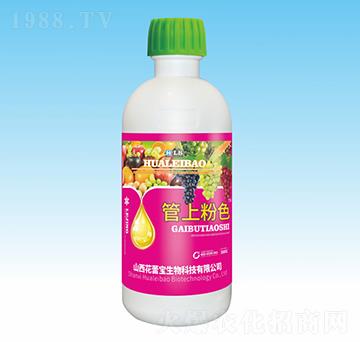 500g管上粉色-花蕾寶生物