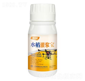 水稻灌漿寶-綠速葳-長豐化工