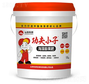 海藻膨果肥-科邦生物