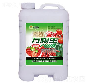 草莓辣椒萬根生-萬物春