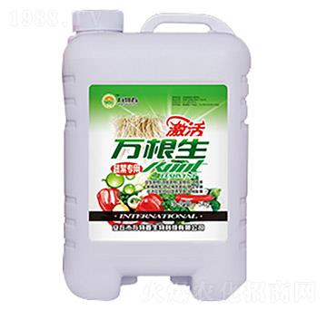 蔬菜型萬根生-萬物春