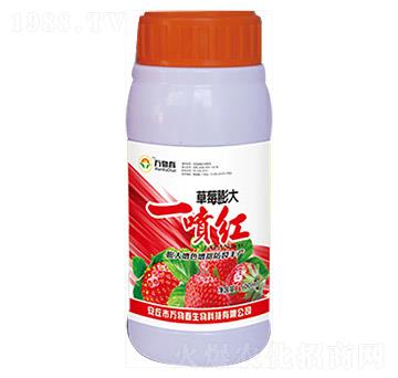 500ml草莓膨大一噴紅-萬(wàn)物春