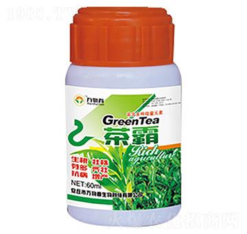 茶霸-萬(wàn)物春