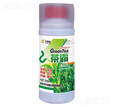 200ml茶霸-萬物春