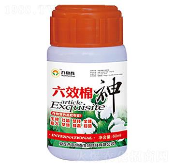60ml六效棉神-萬(wàn)物春
