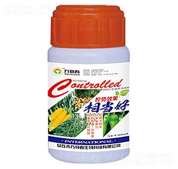 控勢(shì)效果相當(dāng)好-萬(wàn)物春