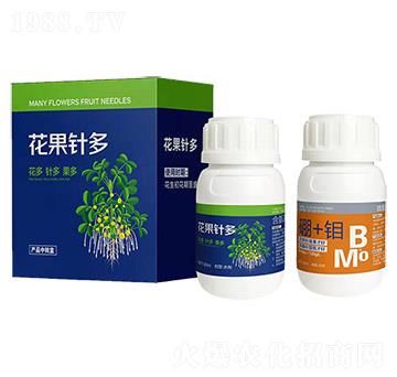 花果針多-艾樂美