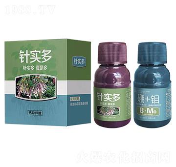 針實(shí)多-艾樂美