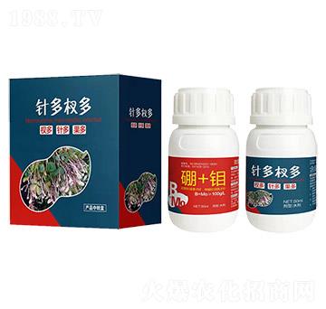 針多杈多-艾樂美